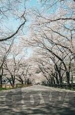 果冻传媒吴梦梦演的老师-探索果冻传媒吴梦梦的教师角色，荧幕上的独特魅力