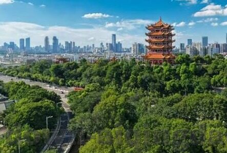 精品麻豆AV一区二区-探讨成人娱乐内容的深层次需求，精品麻豆AV一区及二区的背景与市场洞察