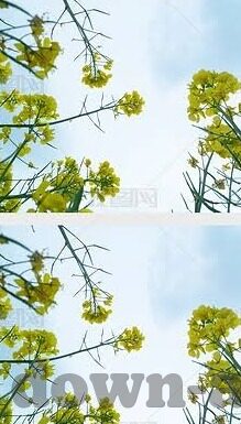 麻豆张芸熙app下载-如何高效获取麻豆张芸熙APP，实用指南