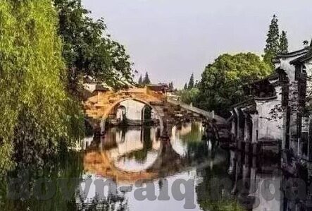 强行侵犯中文字幕-强行侵犯与中文字幕，一个不应被忽视的议题