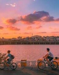 糖心vlog合集-糖心Vlog合集，捕捉生活微小瞬间，共享精彩日常