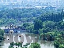 在线无码中文字幕一区-探索网络文化的多元视角，在线中文无码一区现象解析
